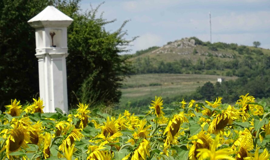 Weißes Kreuz vor Falkenstein