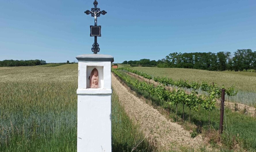 Weißes Kreuz bei Ollersdorf