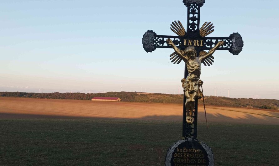 Feldkreuz bei Pirawarth