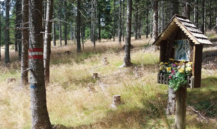 Wegkreuz beim Hallerhaus