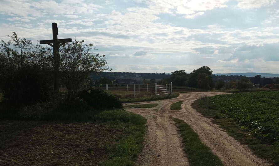 Wegkreuz bei Magersdorf