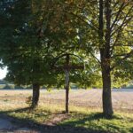 Kreuz bei Manhartsbrunn
